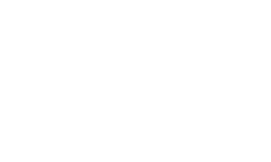 SLB Logo White